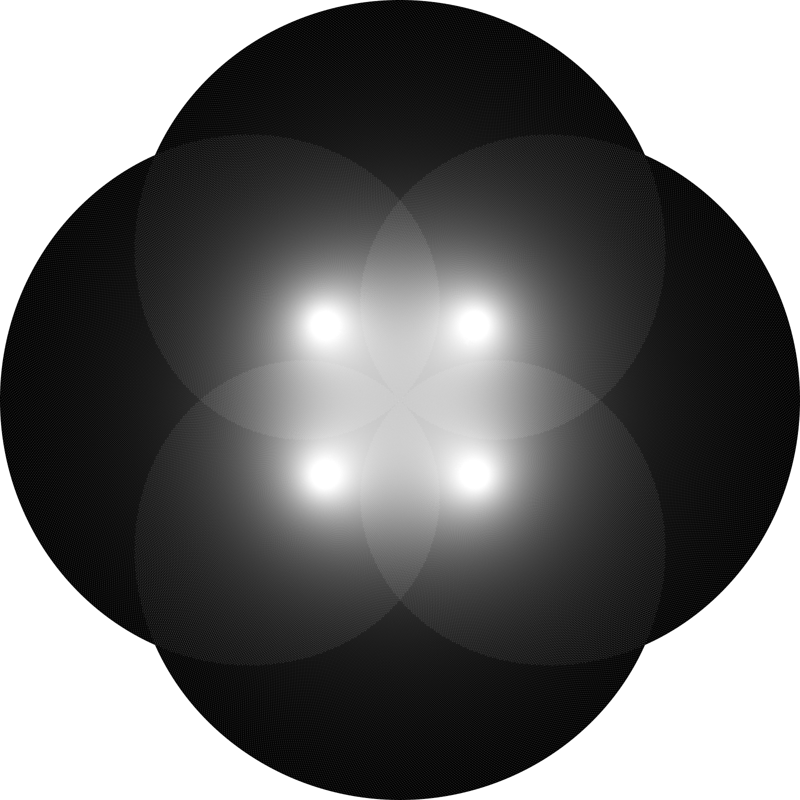 Flower with 4 petals