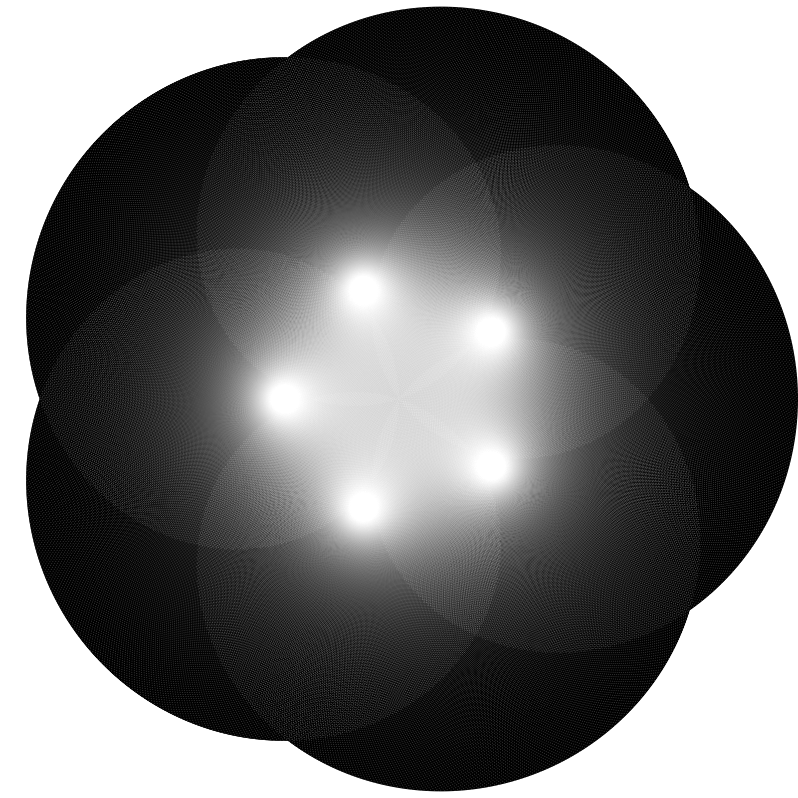 Flower with 5 petals